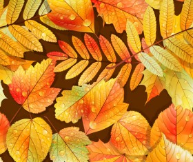 Beautiful autumn leaves with water drop seamless pattern vectors 02