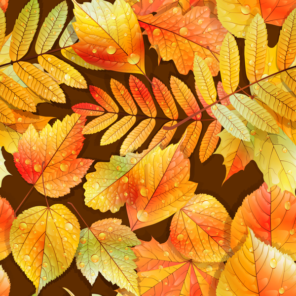 Beautiful autumn leaves with water drop seamless pattern vectors 02