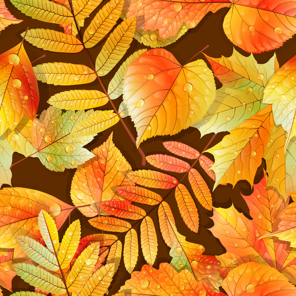 Beautiful autumn leaves with water drop seamless pattern vectors 03