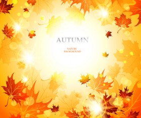 Beautiful autumn nature background vector 02