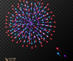 Beautiful festival fireworks effect vectors material 14