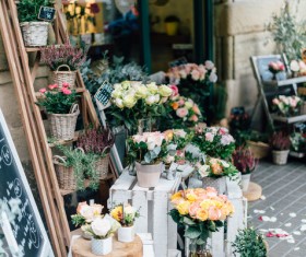 Beautiful fresh flowers in shop Stock Photo