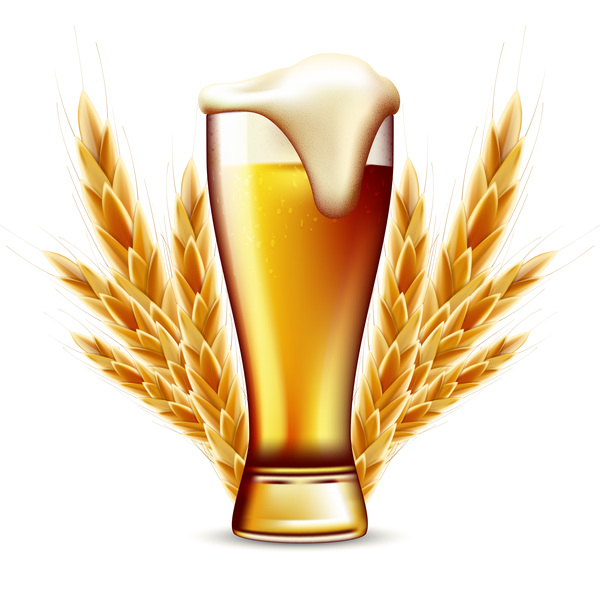 Beer with wheat vector material 02