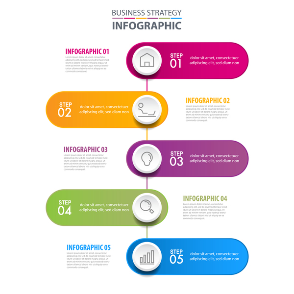 Business strategy infographic template vector 01