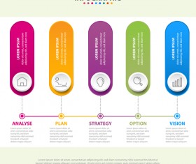 Business strategy infographic template vector 22