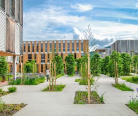 Campus landscape Stock Photo 03