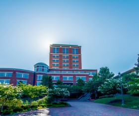 Campus landscape Stock Photo 13