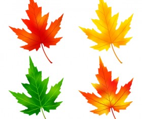 Colorful maple leaves vector material