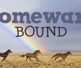 DK Homeward Bound II fonts