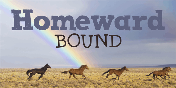 DK Homeward Bound II fonts