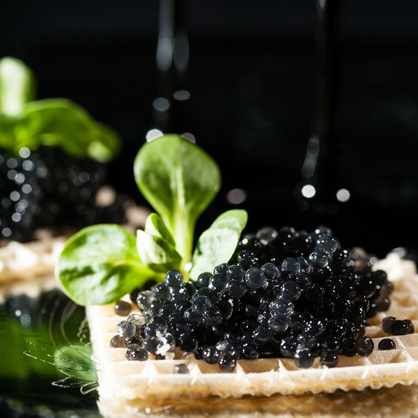 Delicious caviar Stock Photo 01
