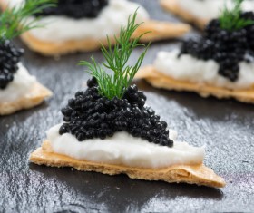 Delicious caviar Stock Photo 03