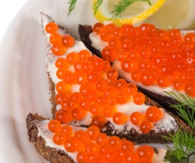 Delicious caviar Stock Photo 05