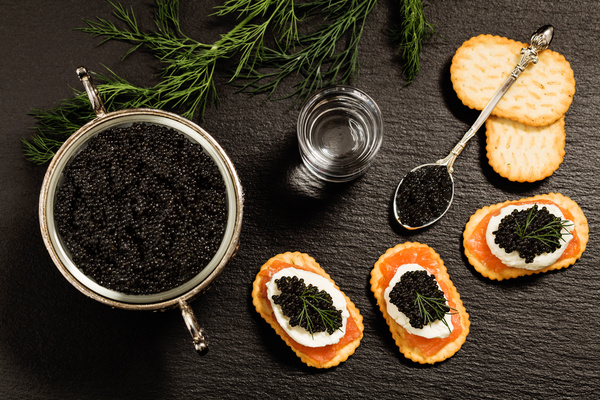 Delicious caviar Stock Photo 09