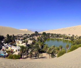 Desert Oasis Stock Photo