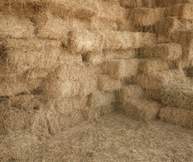 Farm haystack Stock Photo