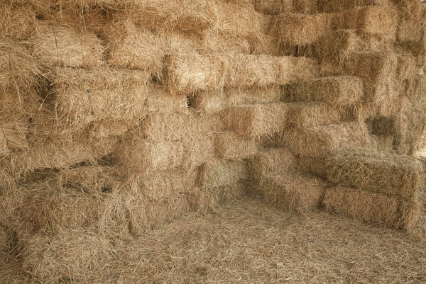 Farm haystack Stock Photo