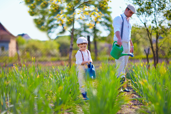 Father and son together to water the plants Stock Photo
