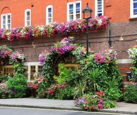 Flower rich restaurant Stock Photo