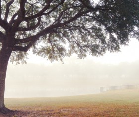 Foggy farms Stock Photo