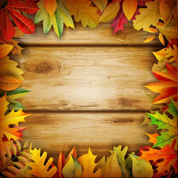 Frame autumn leaves and wooden background vector