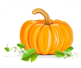 Fresh pumpkin vector material