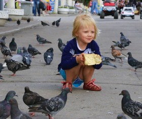 Girls who feed pigeons Stock Photo