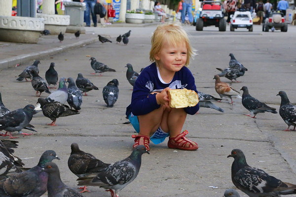 Girls who feed pigeons Stock Photo