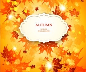 Gold autumn leaves background with white label vector