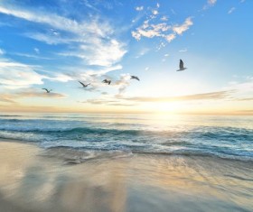 Green clear sea Stock Photo