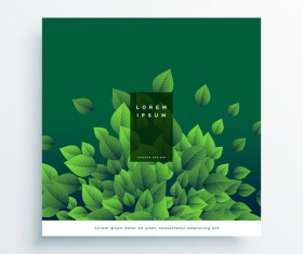 Green leaves cover design vector
