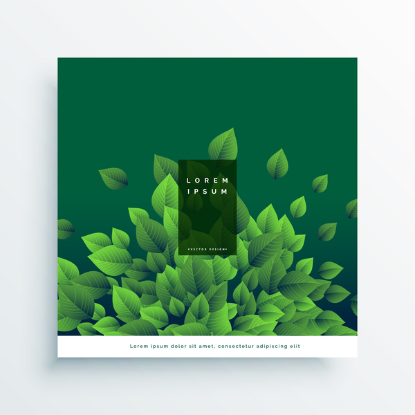 Green leaves cover design vector