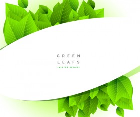 Green leaves with white background vector