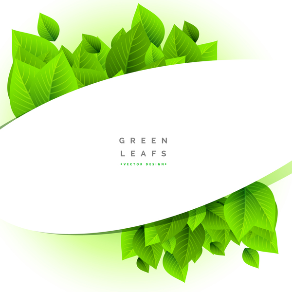 Green leaves with white background vector