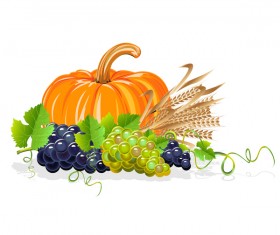 Harvesting still life vector illustration 03