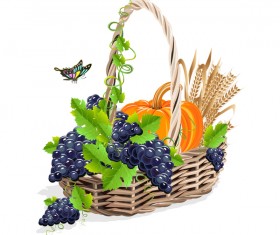 Harvesting still life vector illustration 06