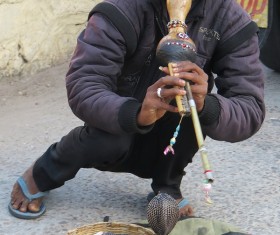 India tame snake Stock Photo