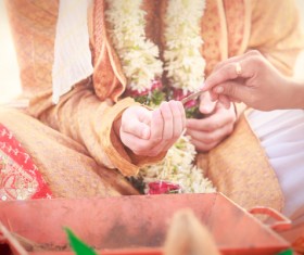 Indian wedding Stock Photo 02