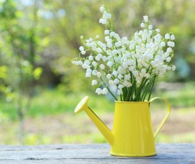 Inserted in the sprinkler in the lily of the valley Stock Photo