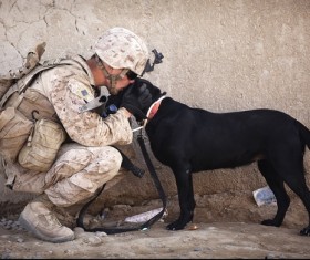 Kiss the soldiers of the black dog Stock Photo