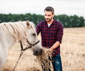 Man to feed the horse Stock Photo
