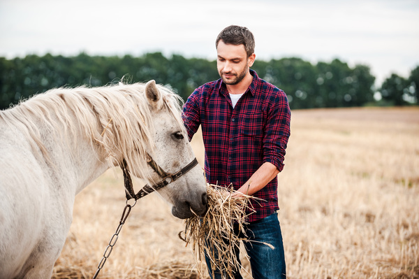 Man to feed the horse Stock Photo