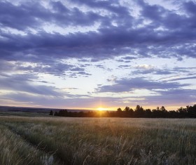 Morning sun and farmland Stock Photo