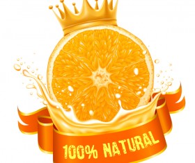 Natural orange juice labels vector