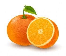 Orange fresh design vector
