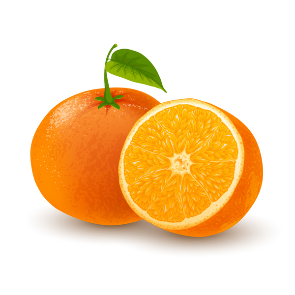 Orange fresh design vector