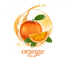Orange fruit vector illustration 01