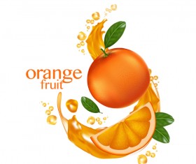 Orange fruit vector illustration 02
