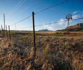 Pasture barbed iron fence Stock Photo 01