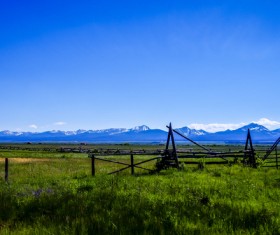 Pasture barbed iron fence Stock Photo 02